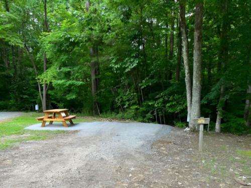 An RV site with picnic table