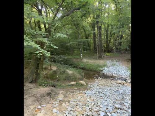 Creek view at site Ted & Tracy's RV Campground