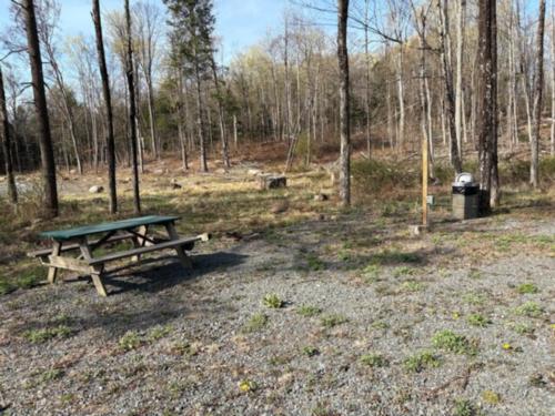 Wake in the Woods Aquapark & Campground