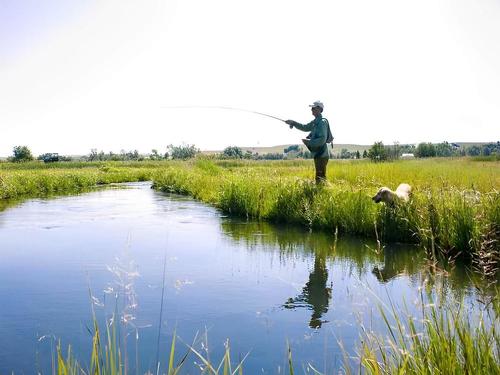 Man fishing with dog at Tower Valley RV Park