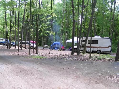 RV and tent in a treed site