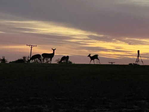 Deer Crossing RV Park