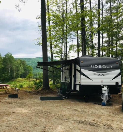Wooded RV site with mountain views at Lone Mountain River Front Campground