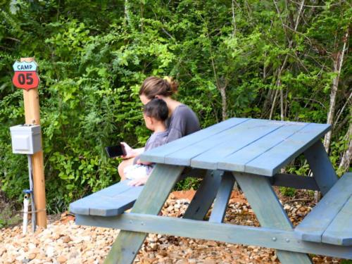 Panic area at site Flynn's Camping Grounds