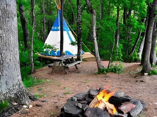 Blue Bear Mountain Camp