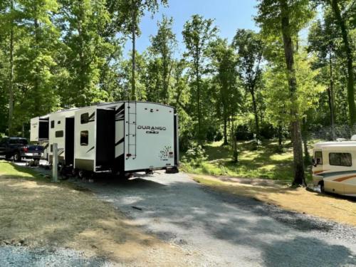Parked RV's next to trees at Red Coach Resort