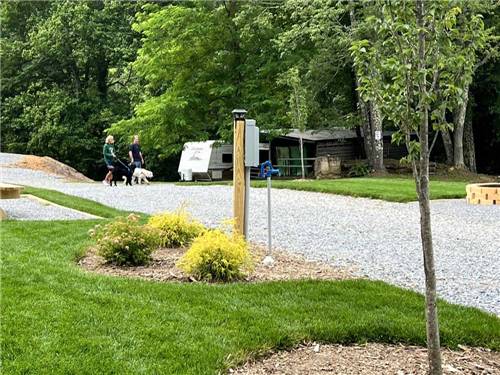 A couple and dogs walking next to RV sites at PLUMTREE CAMPGROUND AND RETREAT