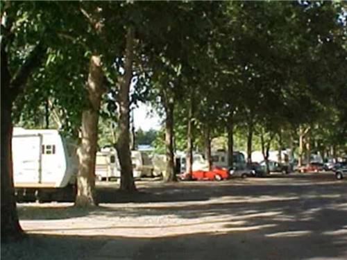 RVs parked on-site at TRI-CITIES RV PARK