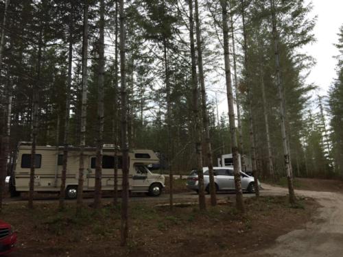 Campsites in the trees
