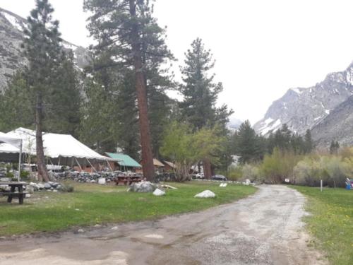 Road into campground with trees and buildings at Glacier Lodge