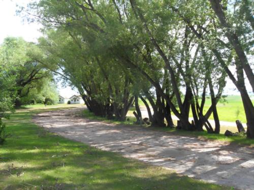 Driveway at site Jolley Camper RV and Cottages