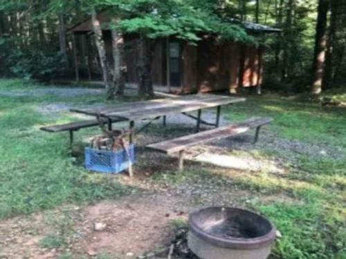 Picnic table and fire ring at Ray's Campground
