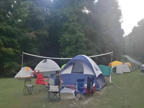Tentings camping on the grass