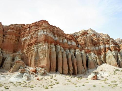 Scene from the Petrified Forest