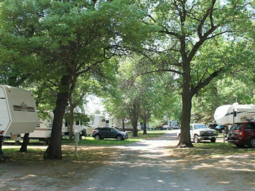 Sites by trees at The Texas Rose RV Park