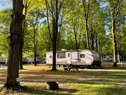 Shady sites at Forest Haven Campground