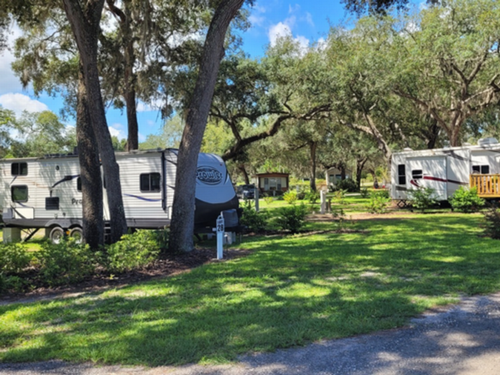 RVs parked in shady sites at Manatee Springs RV Park