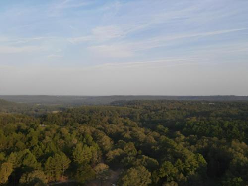 Overhead view of Rollin Oaks Park