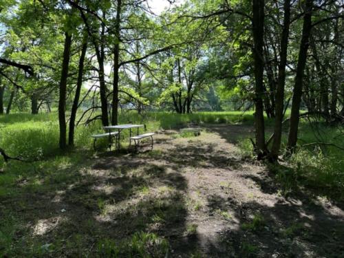 Panic area in the woods at Mellow Moose Campground