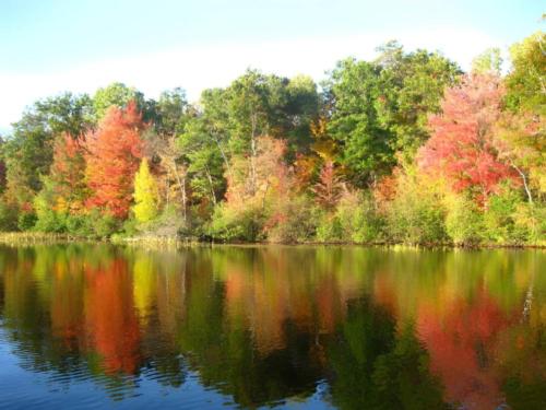 Lake with fall trees at site Thornton's Rafting Resort and Campground