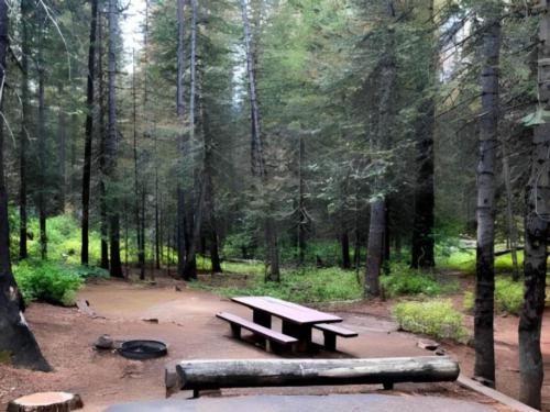 Wooded campsite at Cabins By The Creek