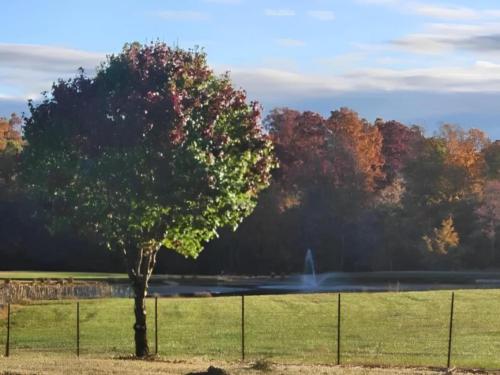 Lake at site Country Life RV Parks and Services