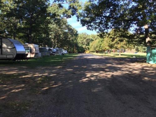 Tree-lined road to RV sites at Wolf Lake Resort and Campground