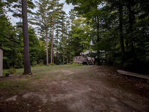 Parked trailer at site Tiny Village Bon Echo