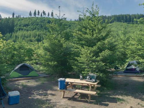 Tent near panic table at Columbia Gorge Getaways
