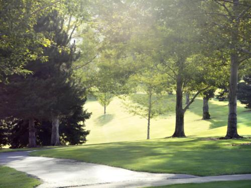 Grass area with trees at site Valley View RV Resort