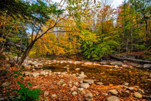 Creek at site Pemi Cabins