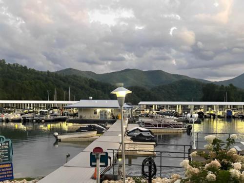 Boat's docked at site Cove Ridge Marina and Resort