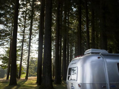 Parked trailers at site Hot Springs Campground