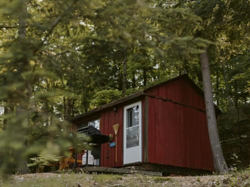 Cabin at site Tiny Village Woodland