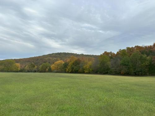 Grass area at site Kingston Trails RV Park
