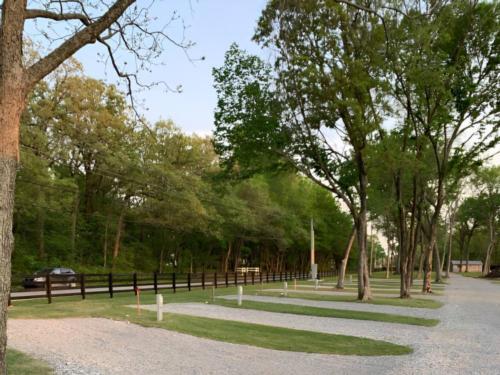 Open RV spaces at site The Park on Whiskey Road