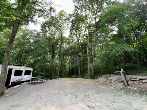 Open RV space at site Timber Run Campground