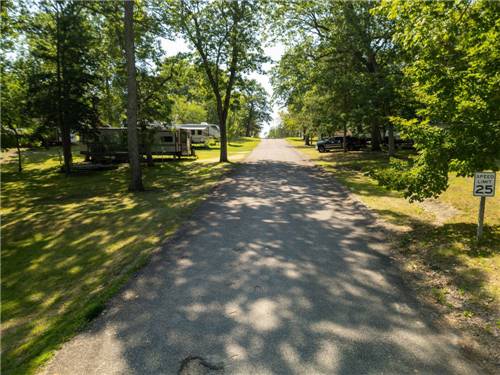 A road leading to shady RV sites