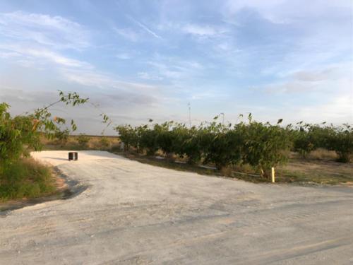 A gravel back in site lined with bamboo
