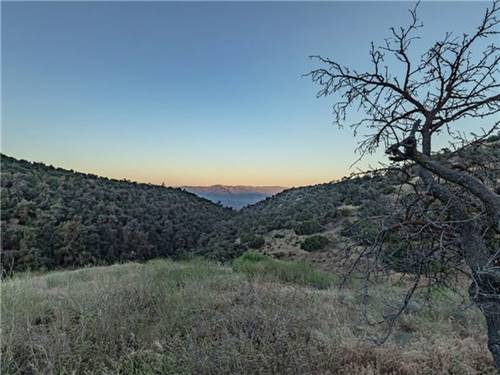 Scenic view