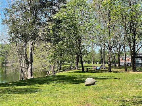 Trees along the water