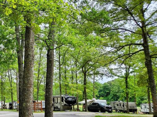 Shaded sites at MOUNTAIN TOP RV PARK