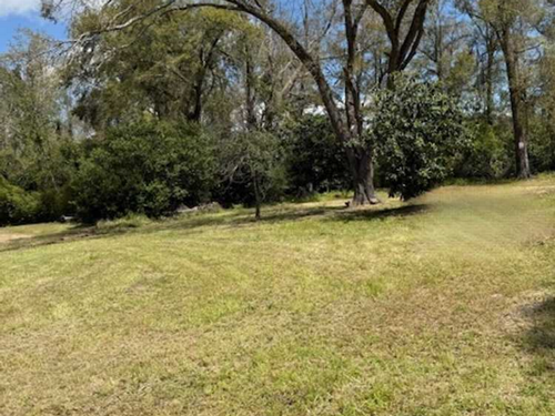 Grassy field at Plantation RV Trailer Park