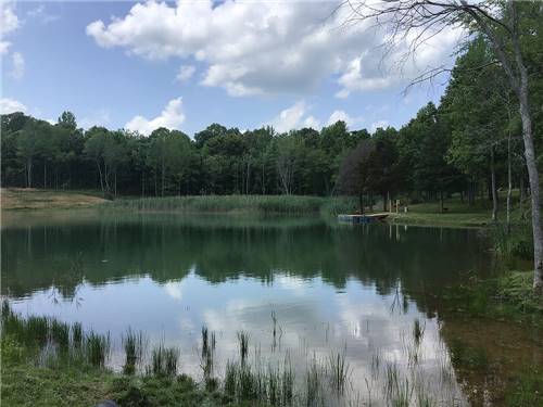 The pond with a dock