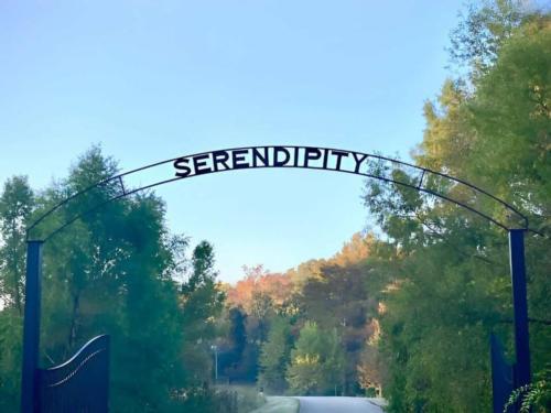 Serendipity Resort & Campground