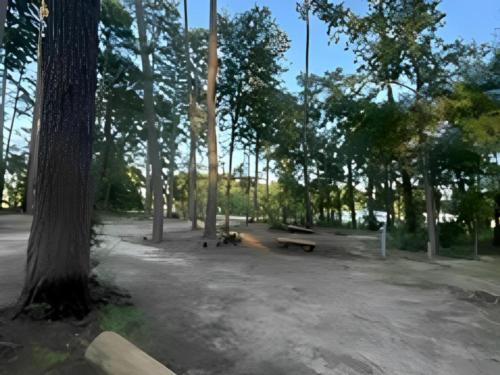 Open RV space at site Rustic Pine RV Park 55+