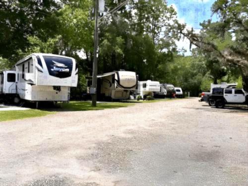 RV's parked at site Big Tree RV Park