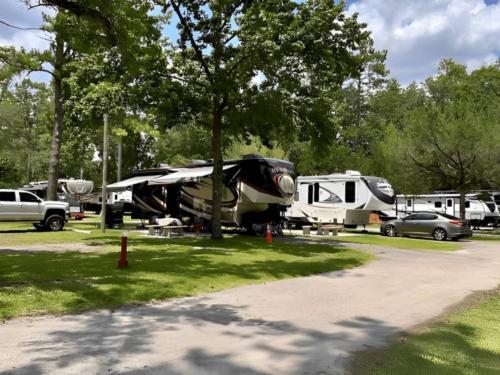 Parked RV's at site Big Tree RV Park
