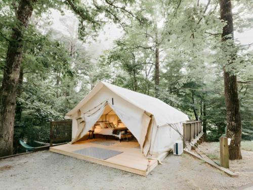 Glamping tent at Timberline Glamping at Amicalola Falls