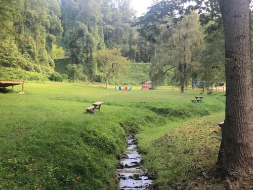A lush green camp area near a creek at Gorgeous Stays